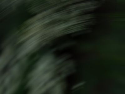 Abstract image representing fluid motion and flow.